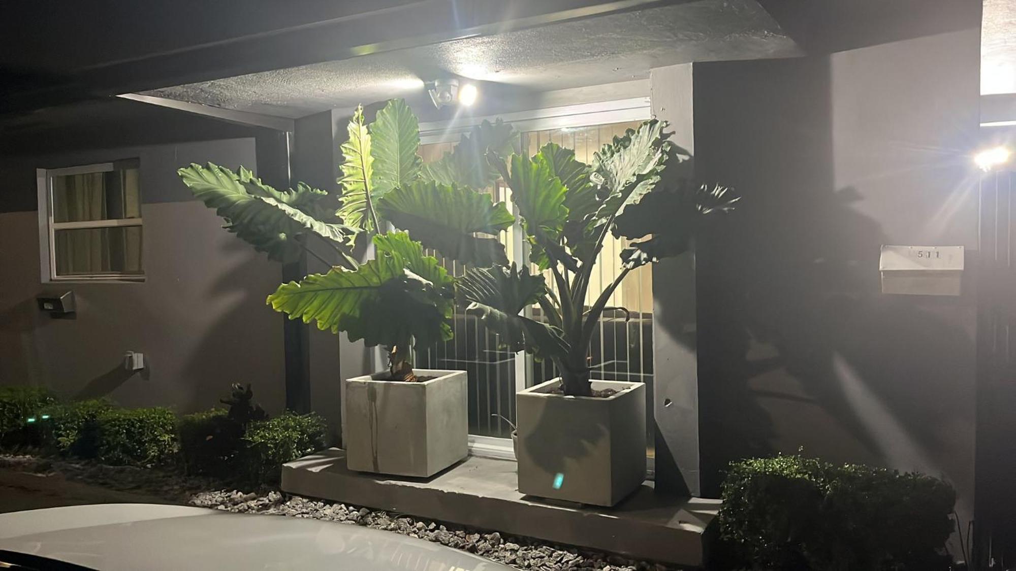 Beautiful, Fully Furnished 4Bed 2Bath House - 5 Minute Walk To Miracle Mile Downtown Coral Gables Villa Miami Bagian luar foto